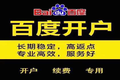 百度网络推广案例：揭秘行业领军企业如何保持竞争力